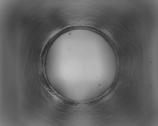 X0000067490974200604211654