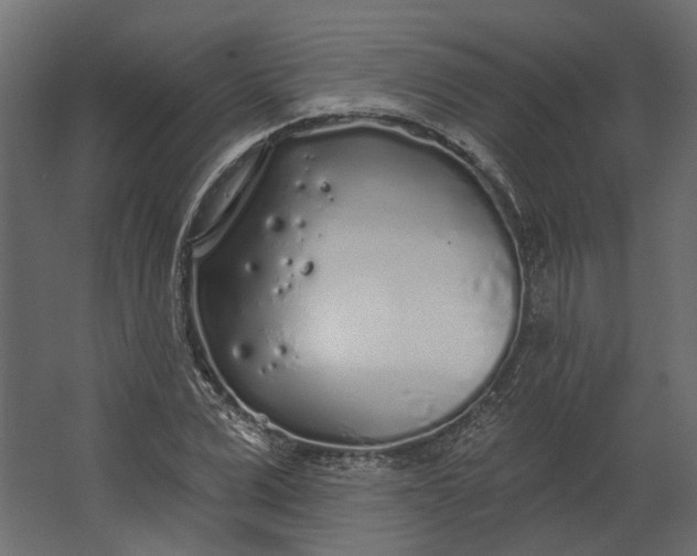 X0000067490975200604211654