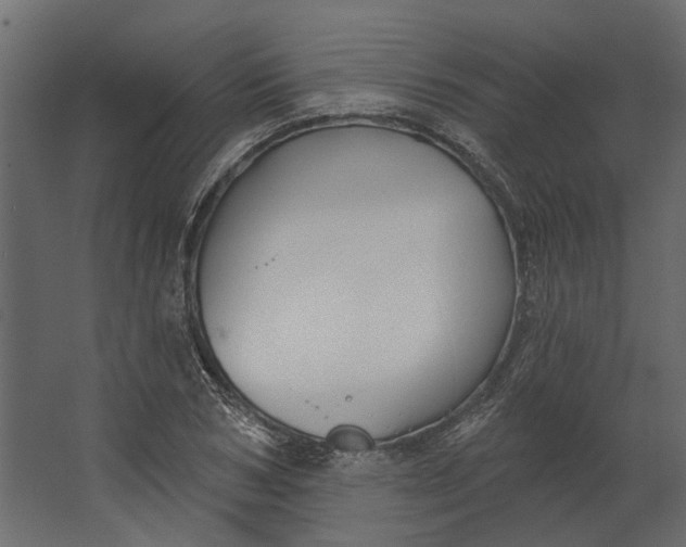 X0000067490978200604211654