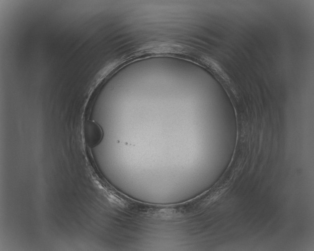 X0000067490986200604211654