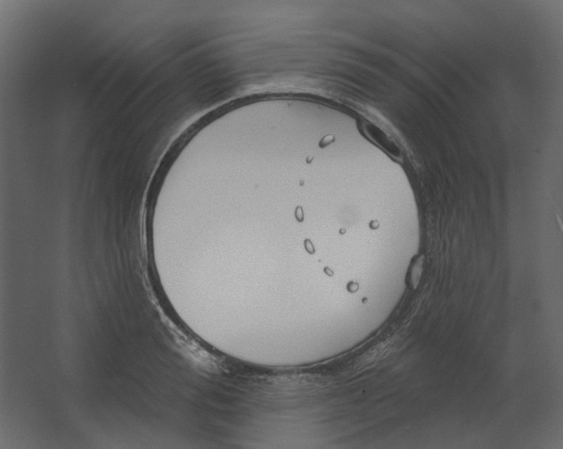 X0000067490988200604211654