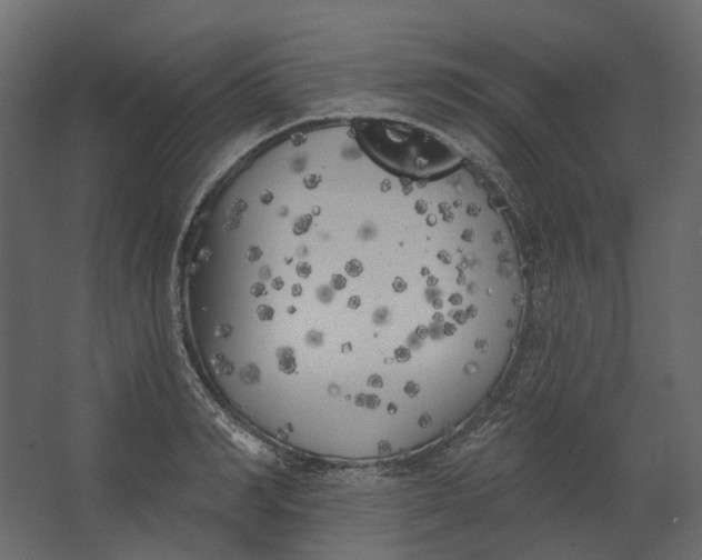 X0000067490990200604211654