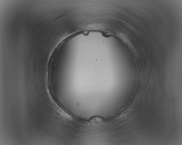 X0000067490992200604211654