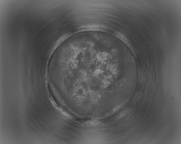 X0000067490994200604211654