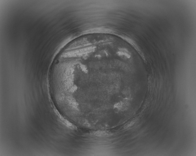 X0000067490998200604211654