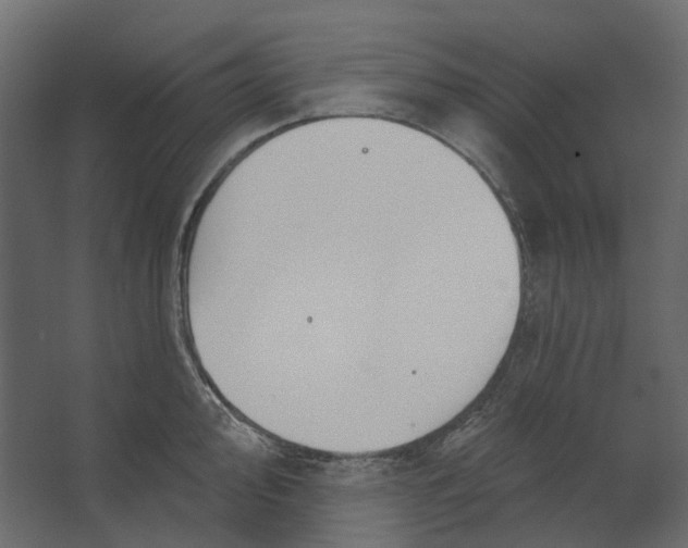 X0000067491000200604211654