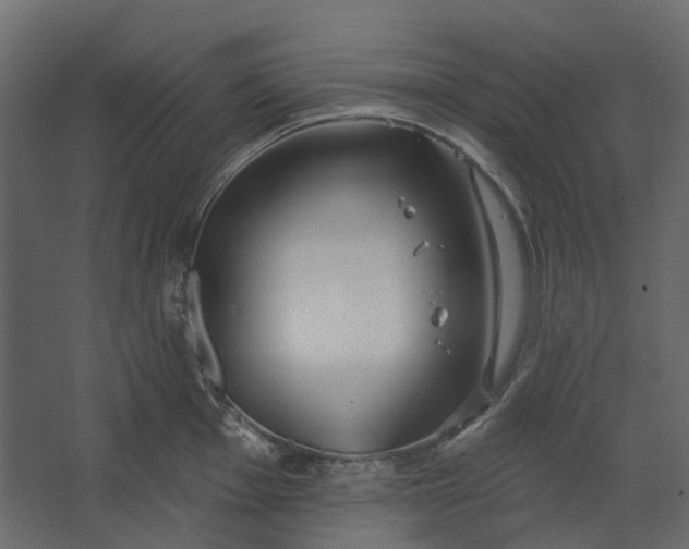 X0000067491001200604211654