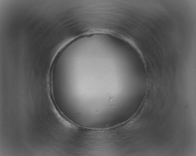 X0000067491003200604211654