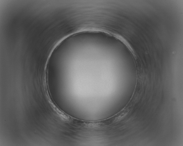 X0000067491004200604211654