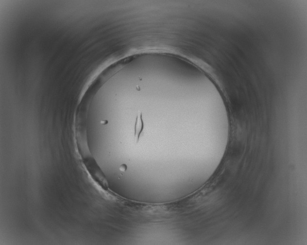 X0000067491006200604211654