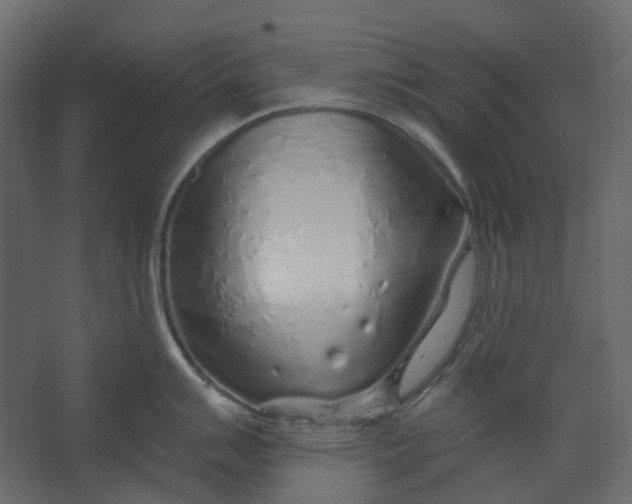 X0000067491007200604211654