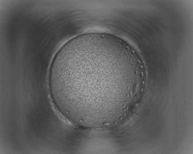 X0000067491008200604211654