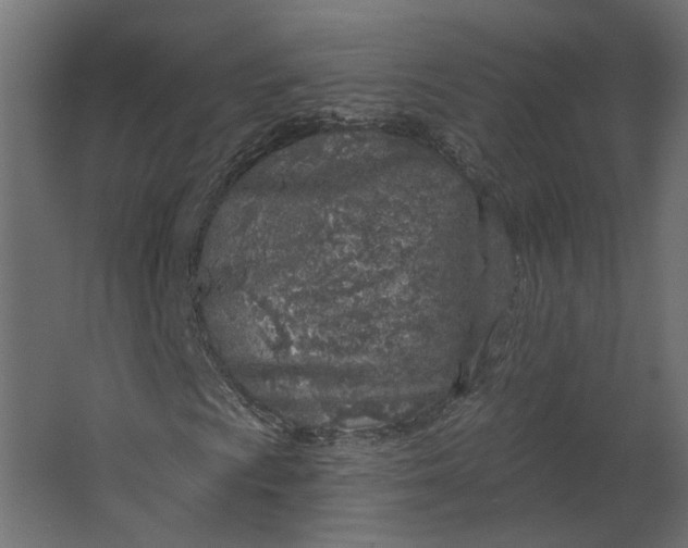 X0000067491009200604211653