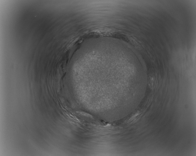 X0000067491010200604211653