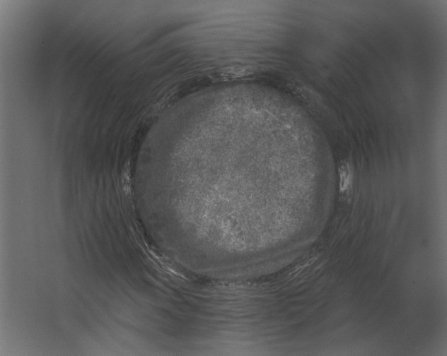 X0000067491011200604211653