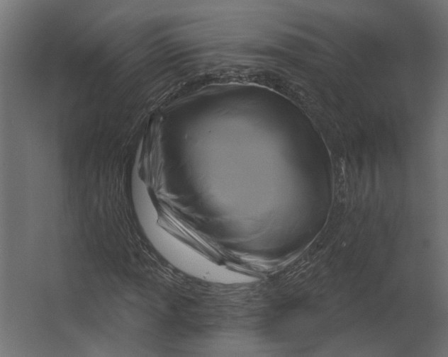 X0000067491013200604211653