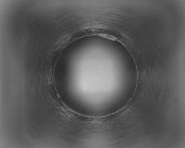 X0000067491014200604211653