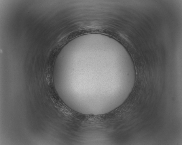 X0000067491015200604211653