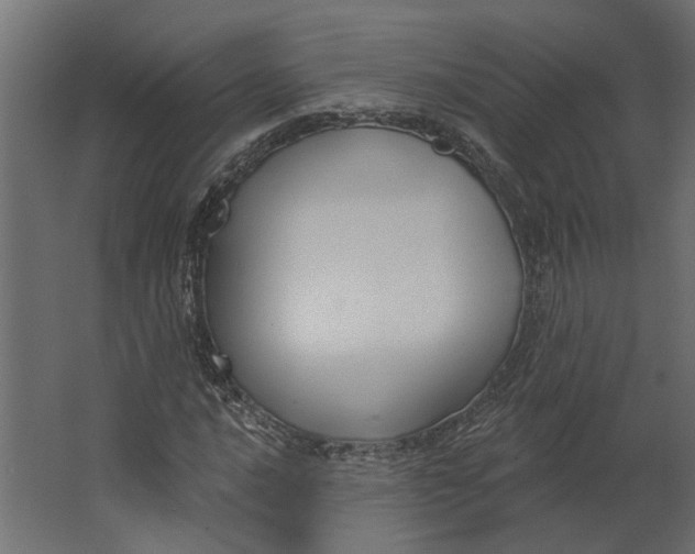 X0000067491016200604211653