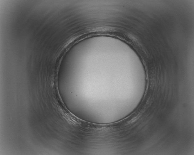 X0000067491017200604211653