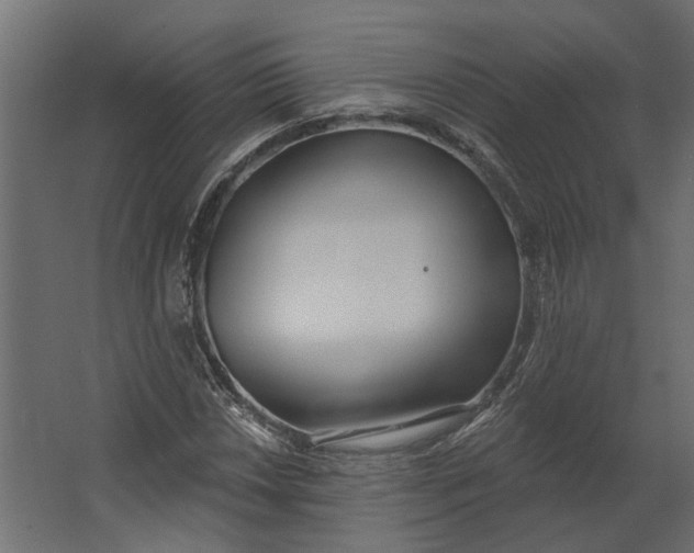 X0000067491018200604211653