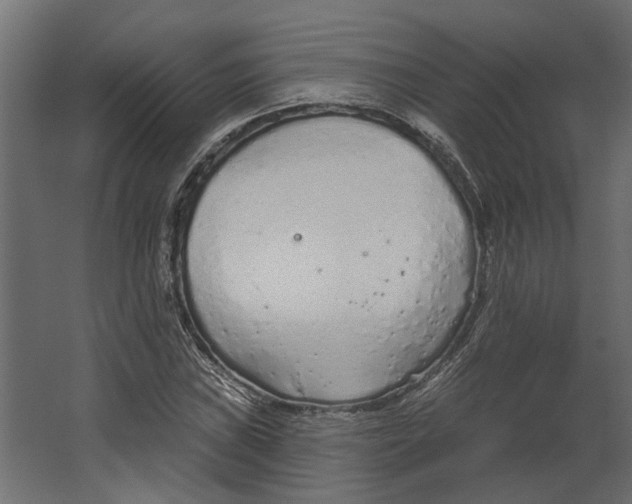 X0000067491019200604211653