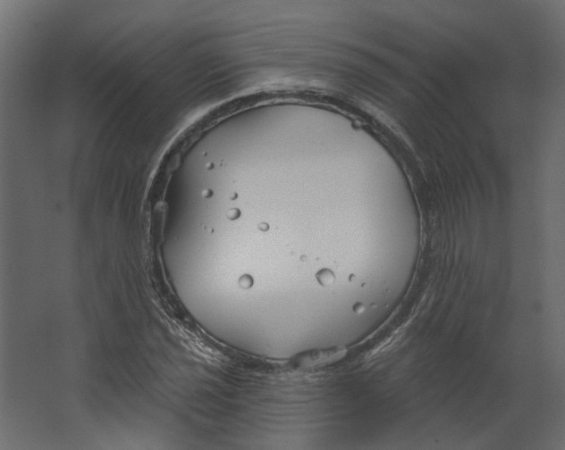 X0000067491021200604211653