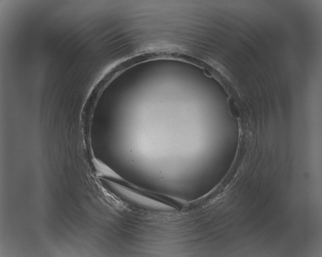 X0000067491022200604211653