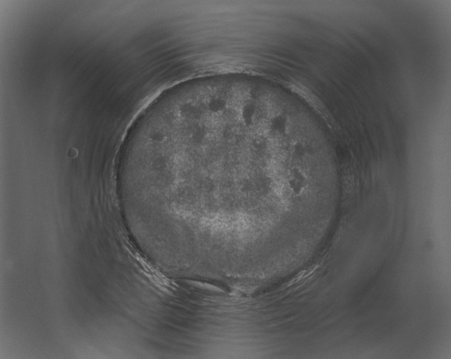 X0000067491023200604211653