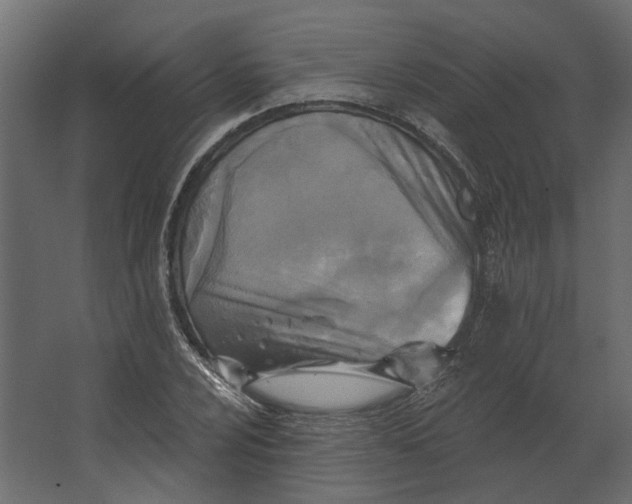 X0000067491024200604211653