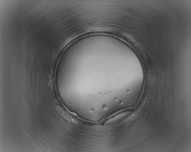 X0000067491025200604211653