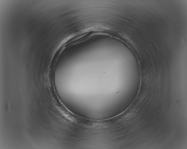 X0000067491026200604211653