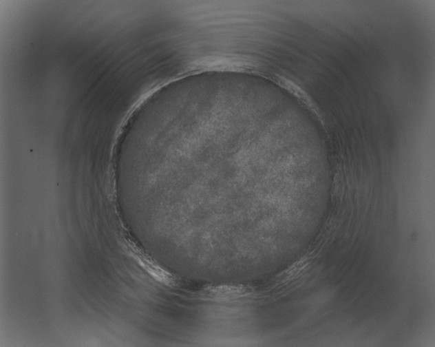 X0000067491027200604211653