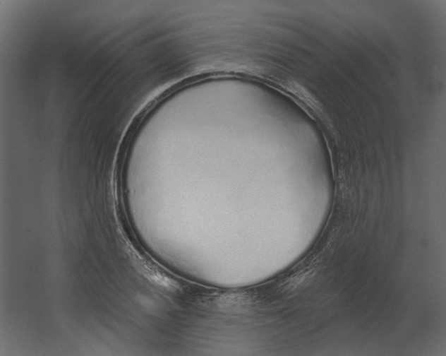 X0000067491028200604211653