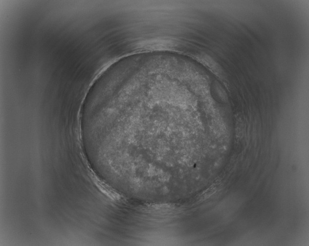 X0000067491031200604211653