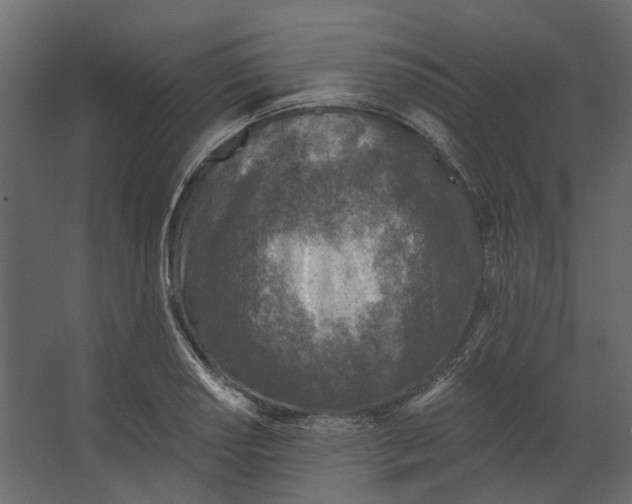 X0000067491034200604211654