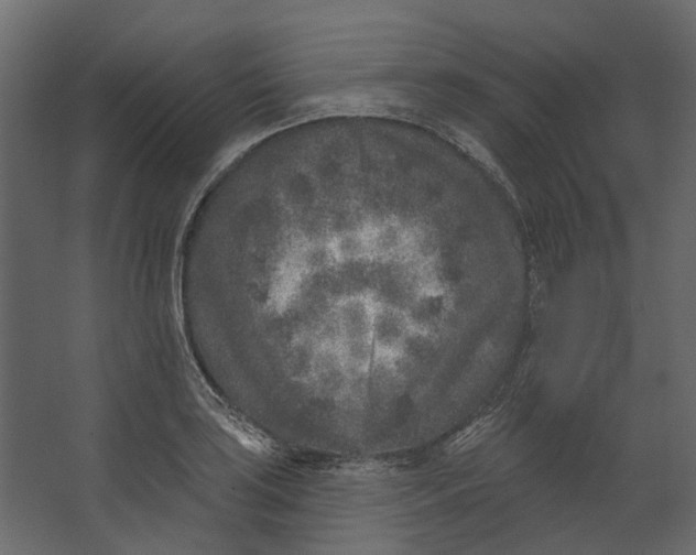 X0000067491035200604211654