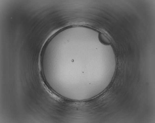 X0000067491036200604211654