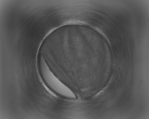 X0000067491037200604211654