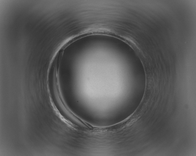 X0000067491038200604211654