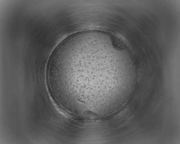 X0000067491039200604211654