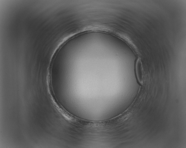 X0000067491040200604211654