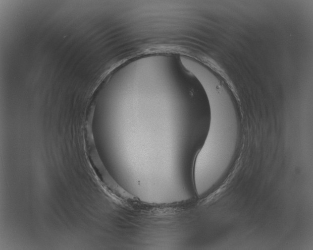 X0000067491041200604211654