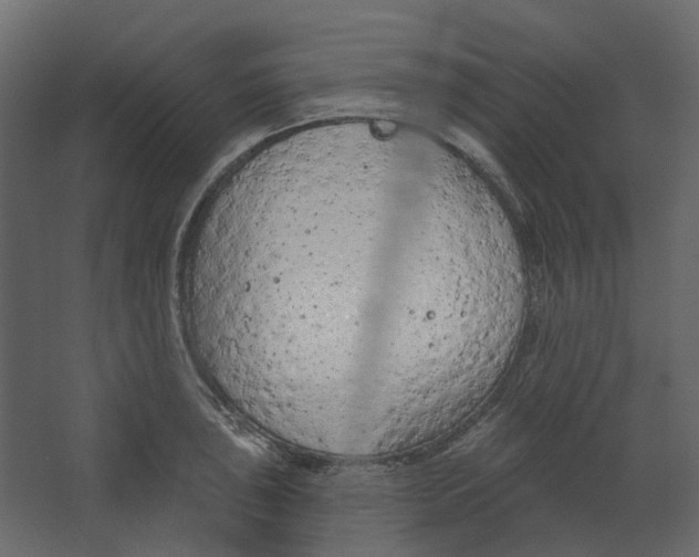 X0000067491043200604211654