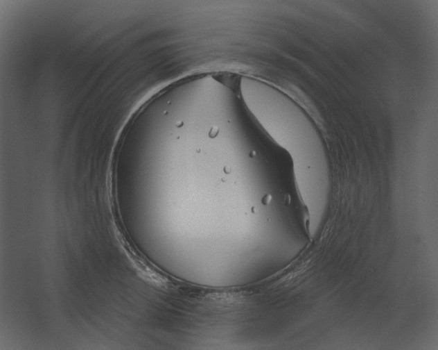 X0000067491044200604211654