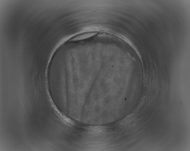 X0000067491045200604211654