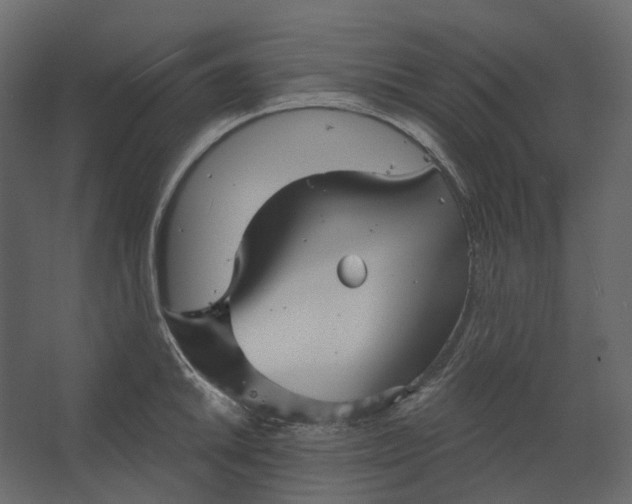 X0000067491046200604211654