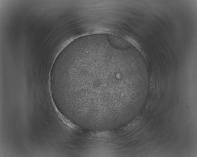 X0000067491047200604211654