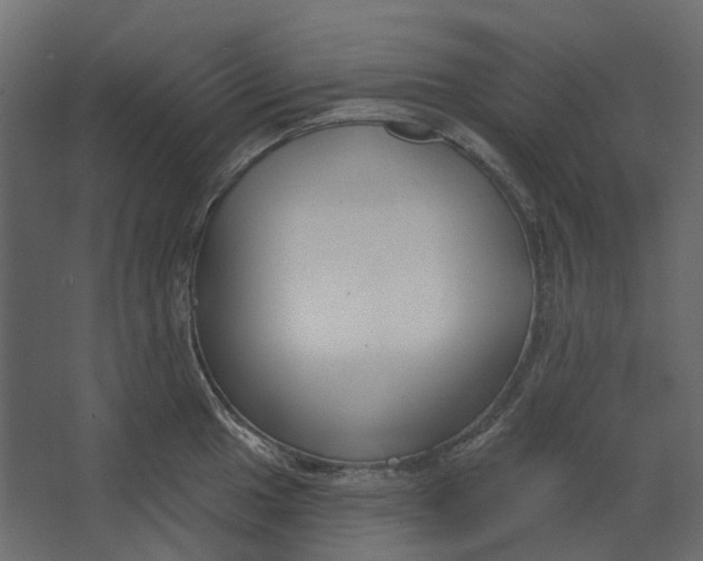 X0000067491049200604211654