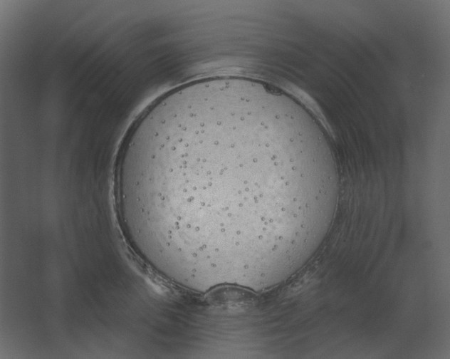 X0000067491051200604211654